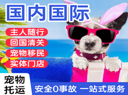 呼伦贝尔海拉尔空运地址国际宠物托运 【国